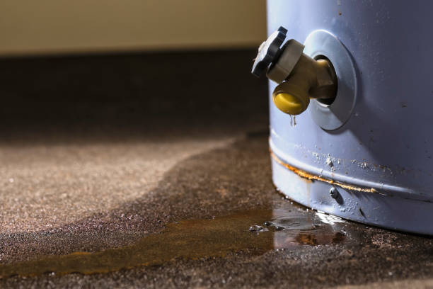 Best Residential water damage restoration  in East Troy, WI