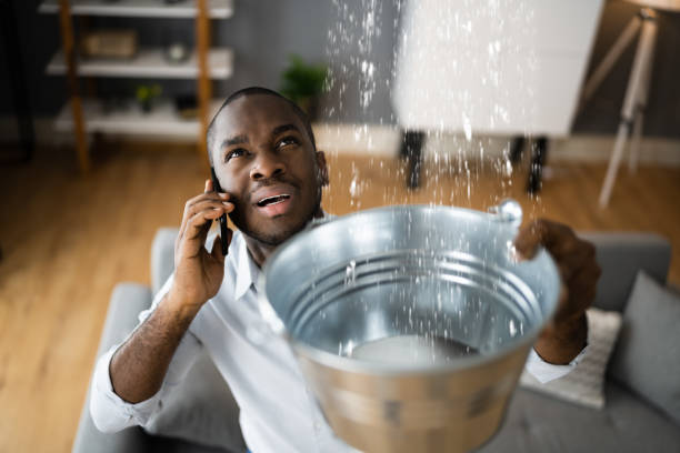 Best Water damage restoration specialists  in East Troy, WI