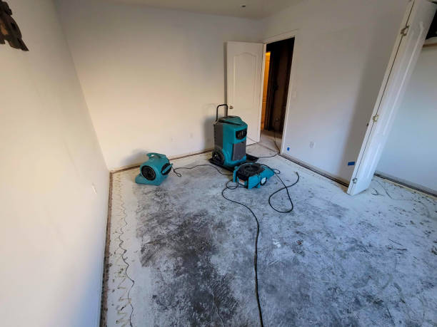 Reliable WI Water damage restoration Solutions