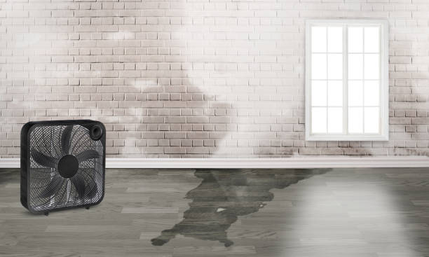 Best Emergency water damage restoration  in East Troy, WI