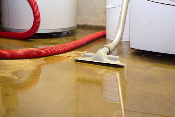 Best Water damage restoration process  in East Troy, WI