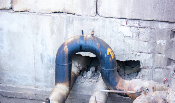 Best Professional water damage repair  in East Troy, WI