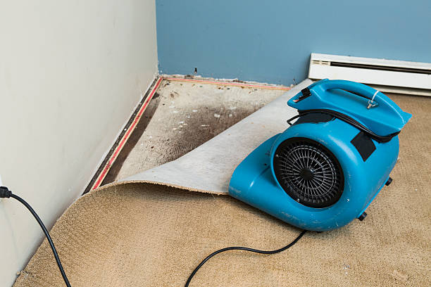 Best Carpet water damage restoration  in East Troy, WI